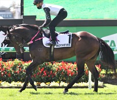 Rothfire ... on his way out for his gallop ...