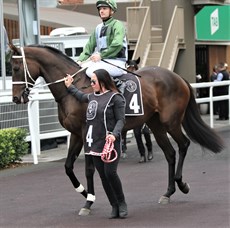 ... and in the silks he carries for the new ownership group

Photos: Graham Potter