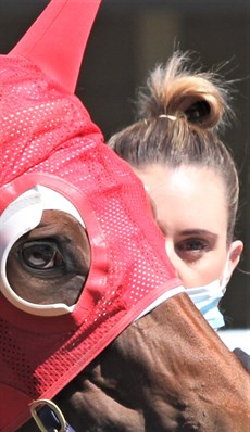 Melissa Taylor ... happiest with the horses ... at the track ...