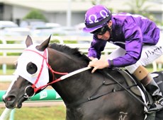 Patches ...on his way to a metropolitan win on Febuary 20, 2021 in what was to be the last race of his career