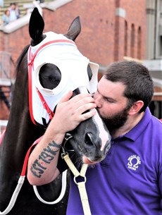 Pictures of Patches ... fond memories of a very special horse