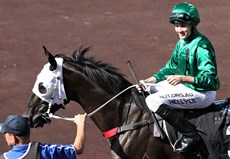 Hellyer brings Rebel Run back to scale

Photos: Graham Potter