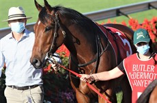 Smart Star Prince (above and below)