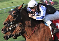 Gypsy Goddess storms home to land a long priced debut win