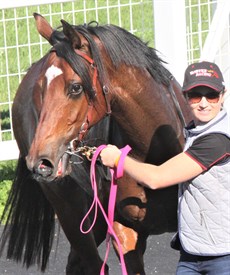 Rapaport ... pictured after his Gold Coast win. 