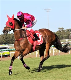 Prometheus finished third in the Mooloolaba Cup