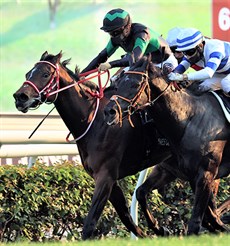 Photo: Courtesy Hong Kong Jockey Club