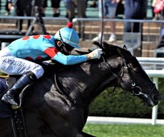 Photos: Courtesy Hong Kong Jockey Club