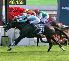 Glory Vase

Photos: Courtesy Hong Kong Jockey Club