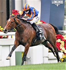 Photos: Courtesy Hong Kong Jockey Club</b.