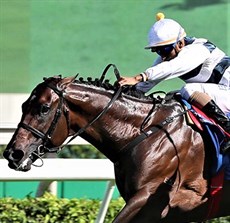 Panfield

Photos: Courtesy Hong Kong Jockey Club