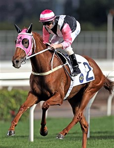 Zac Purton cruises into history on Beauty Joy.

Photo: Courtesy Hong Kong Jockey Club</b.