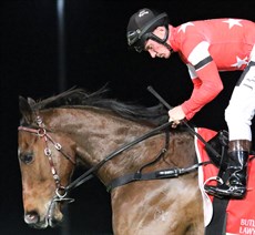 Jakkalberry Finn ... finished second for the second time in a row

Photos: Graham,Potter