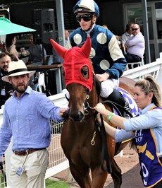 Ciaron Mahen lends a hand as Coolangatta heads out before the B J McLachlan at Doomben on Boxing Day ... 