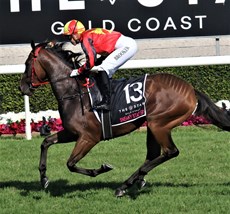 ... and down to the start of the $2 million Magic Millions Two-Year-Old Classic