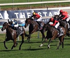 ... but Sneaky Starter (in centre of picture on the rail) still runs on well enough to secure a big bonus payout

