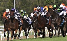 Desert Lord (in the purple cap second from left) chasing hard in the Sunshine Coast Cup finish.

Photos: Graham Potter