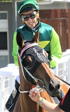 Goldeell, pictured at a previous start

Photo: Graham Potter