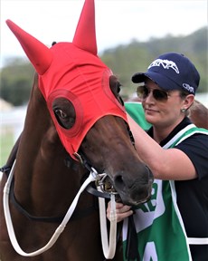 Vienna Empress pictured at Ipswich ... maybe for the last time