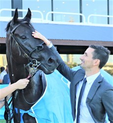 Always for the love of the horse