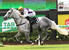 Picture perfect ... Wilson-Taylor guides Slow Hands to victory to land his first win for his boss, Kelly Schweida

Photos: Graham Potter