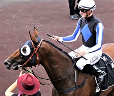 Gypsy Goddess ... finished third in her first crack at the Group 1 level