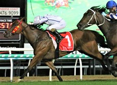 Du Plessis would have to settle for two runner-up finishes before that important first winner back came around. The second places came on the Corey and Kylie Geran trained on Pure Purgatory and then when agonising touched off in the final strides on Barry Baldwin’s Good Bean - in the sequence pictured here), but come around it did and second a win followed in quick succession.