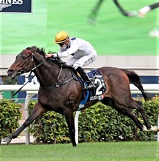 Racing Photos: Courtesy Hong Kong Jockey Club