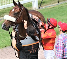 Apache Chase at Ipswich
