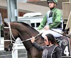 Incentivise ... a tough act to follow, but Gypsy Goddess could be on her way

Photos: Graham Potter