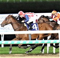 My Best Bet - Joy Too All (race 2)