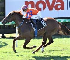 My Best Eachway - Johnny Rocker (see race 7)

Photos: Graham Potter