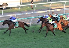 Maybe the Best ... arrived just a stride too late in tjhe Gai waterhouse Stakes 