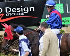 Du Plessis looking nice and relaxed as he prepares to take Arapaho out onto the track for the Caloundra Cup ...