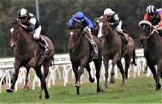 Arapaho ... a  game effort is rewarded with a runner-up finish in the Listed Caloundra Cup