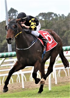 Courtingrock (above) and Coronal (below) ... both pictured at a previous starts 