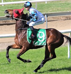 Milano Boom (pictured at a previous start)

Photo: Graham Potter