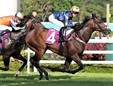 Photos: Courtesy Singapore Turf Club