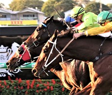 ... but just misses ... in a race that was to play out a second time in the steward's room

Photos: Graham Potter