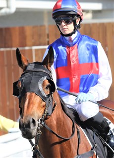 Aussie Nugget (see race 7)