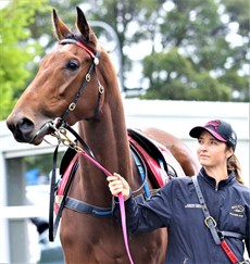 Gypsy Goddess ... the Champion Three-Year-Old filly of the Year for the 2021/22 season