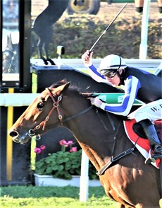 Gypsy Goddess and Willie Pike winning the Queensland Oaks

Photos: Graham Potter