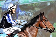 Weona Smartone resumes for David Vandyke with Kyle Wilson Taylor to ride. He has had three solid trials in preparation for the resumption to racing. Drawn well, he is the $2 favourite – I think that on paper he looks the winner – just would rather see him post a win before I get on at those odds – he has had a 32-week spell as well. (see race 8)