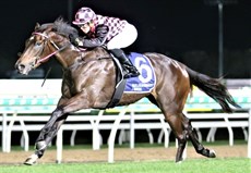 The Robert Heathcote trained En Pointe ... a striking individual pictured in action as she roasts her rivals in her most recent win at the Sunshine Coast

