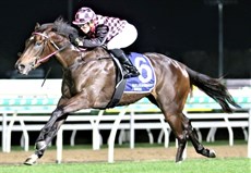 The Robert Heathcote trained En Pointe ... a striking individual pictured in action as she roasts her rivals in her most recent win at the Sunshine Coast

