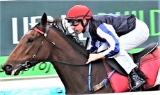 Gypsy Goddess and Willie Pike