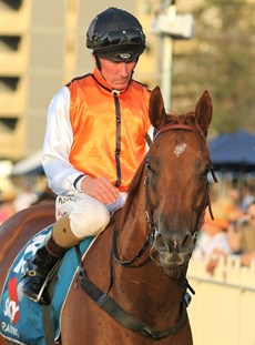 Skins, pictured at a previous win (above and below), was back to his best first-up at the Gold Coast