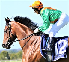 Back in the groove ... Beriman goes out aboard The Drover for her first race ride in more than three years 