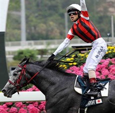 Win Bright ... the 2019 Hong Kong Cup winner

Photos' Darren winningham and Graham Potter