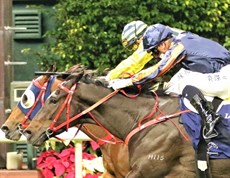 ... and this is how close she came to winning the IJC title when finishing second on Red Lion

Photos: Darren Winningham